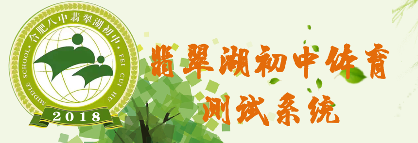 翡翠湖初中体测成绩系统